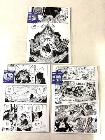 ONE PIECE ALL PAGES 조로 루피 베이스샵 와노쿠니