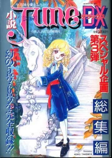 매거진 매거진 1991년(헤이세이 3년)의 BL 소설 잡지 !! 소설 JUNE DX 총집편 3 91/06 9106