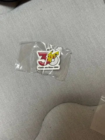 포켓몬 30주년 피카츄 메탈 참