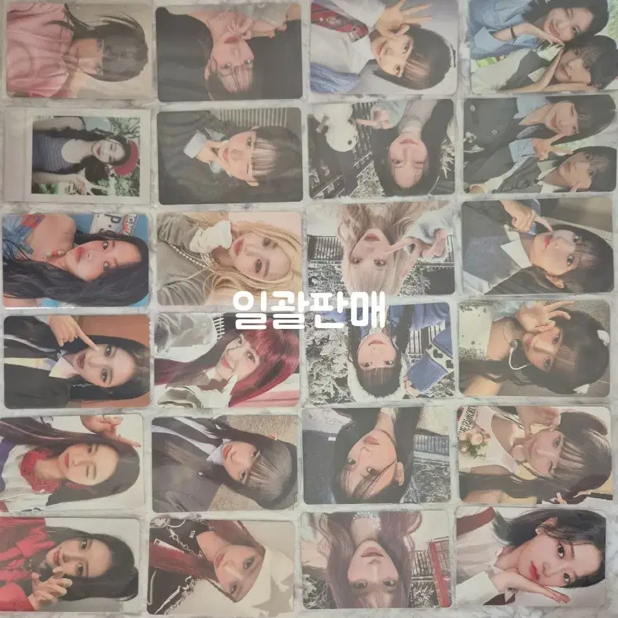 아이브포카(덤 다퍼드리고 배송비는 무료입니다!)