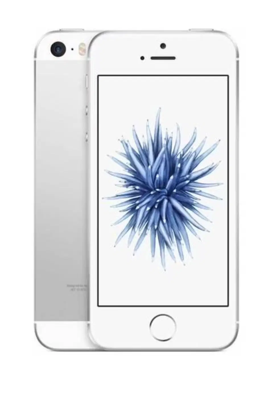 아이폰SE1 64GB Wifi버전 결제창