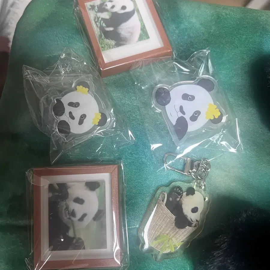 푸바오 아이바오 러바오 후이바오 루이바오 액자마그넷 유채마그넷 키링