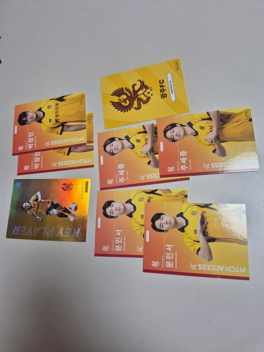 광주FC 파니니 카드 일괄가격