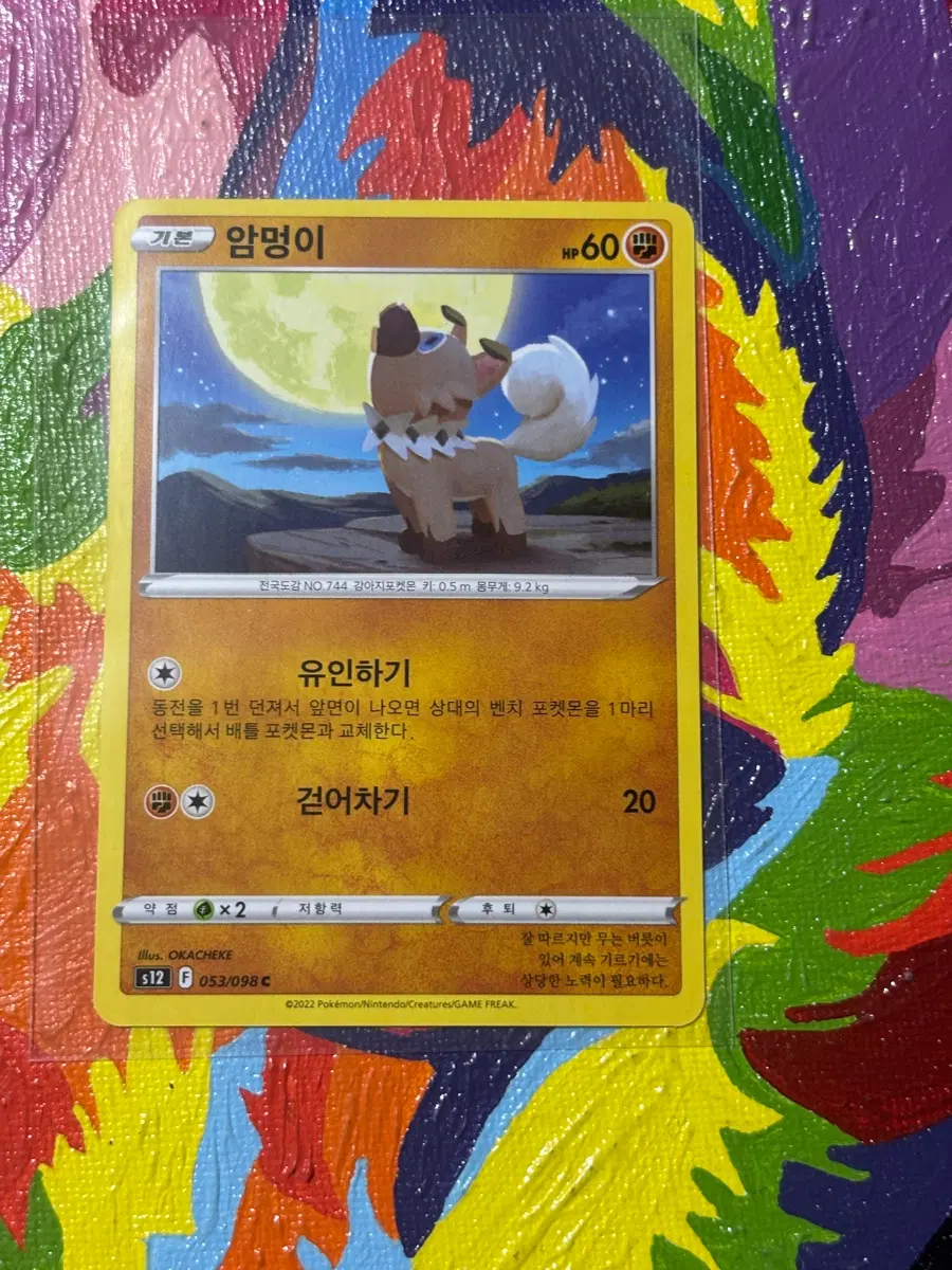 포켓몬스터 암멍이s12 포켓몬 카드 인테리어 소품 꾸미기용 포장용