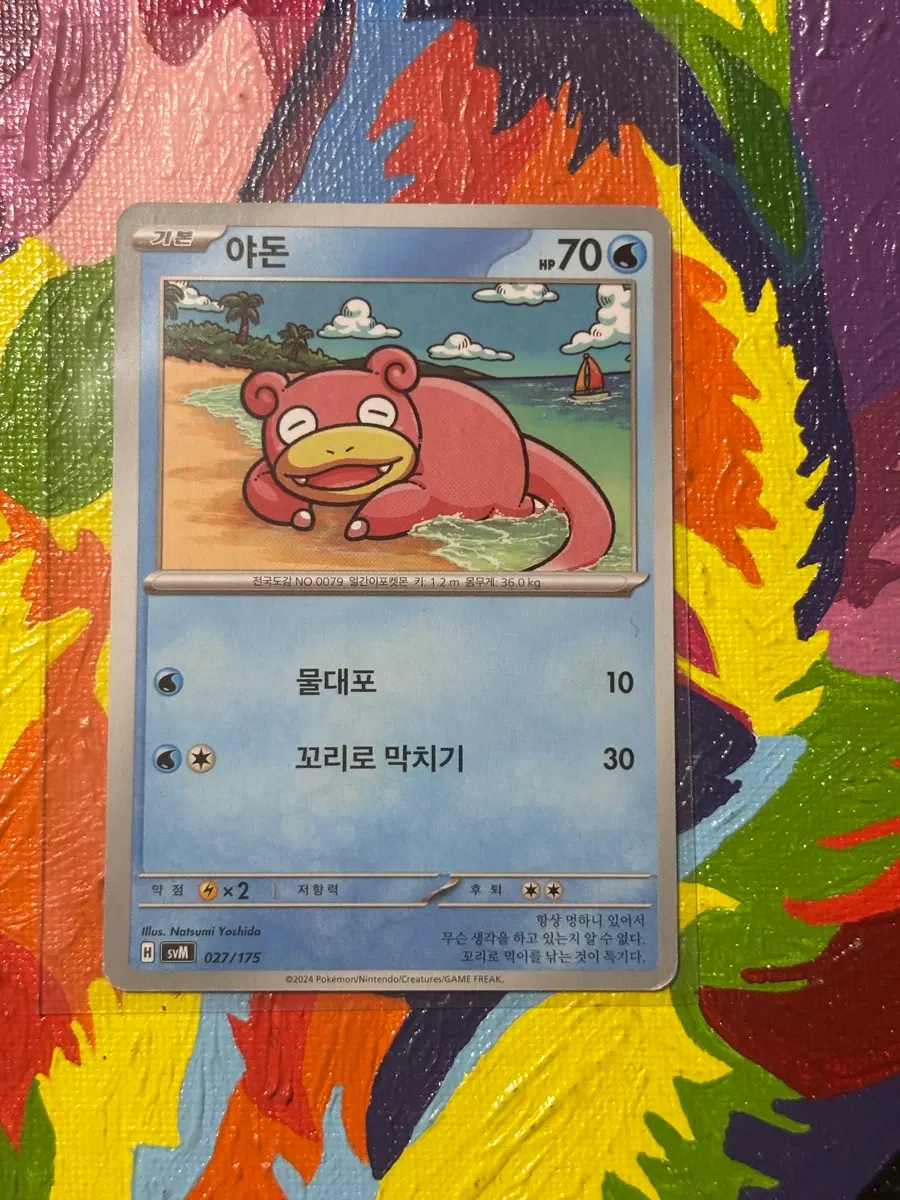 포켓몬스터 야돈svm 포켓몬 카드 인테리어 소품 꾸미기용 포장용