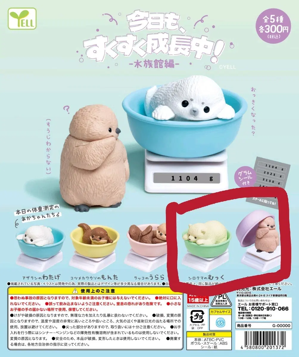 YELL 아쿠아리움 수족관 아기 동물 오늘도 무럭무럭 성장중 가챠 펭귄, 북극곰