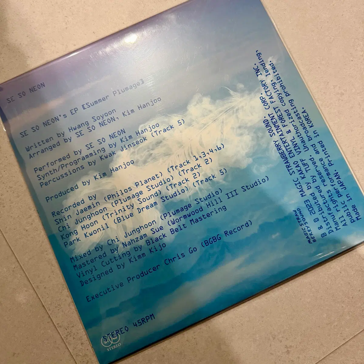 새소년 여름깃 LP 미개봉