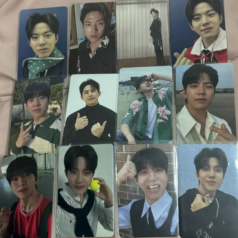 데이식스 도운 포카 일괄판매
