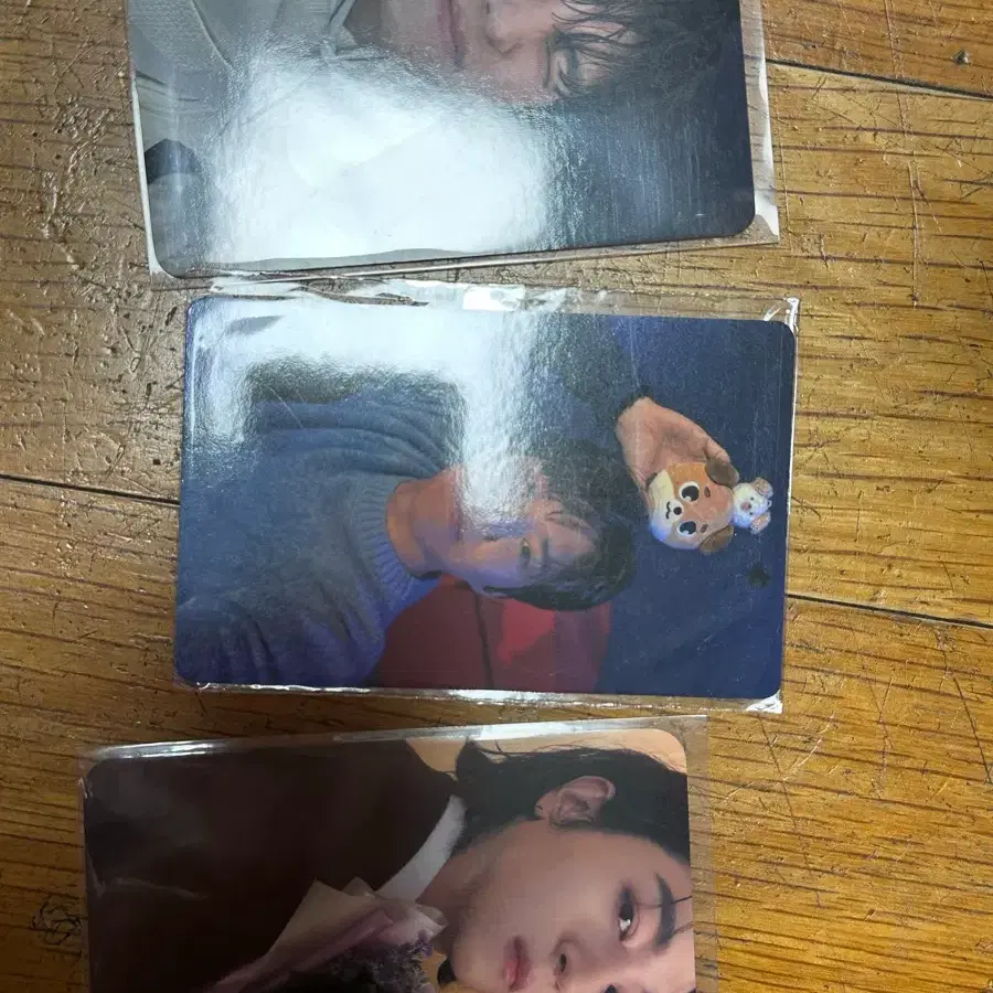 데이식스 포카 / 후즈팬 성진 꽃다발