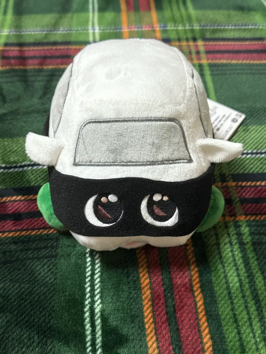 도둑 모루카 중형