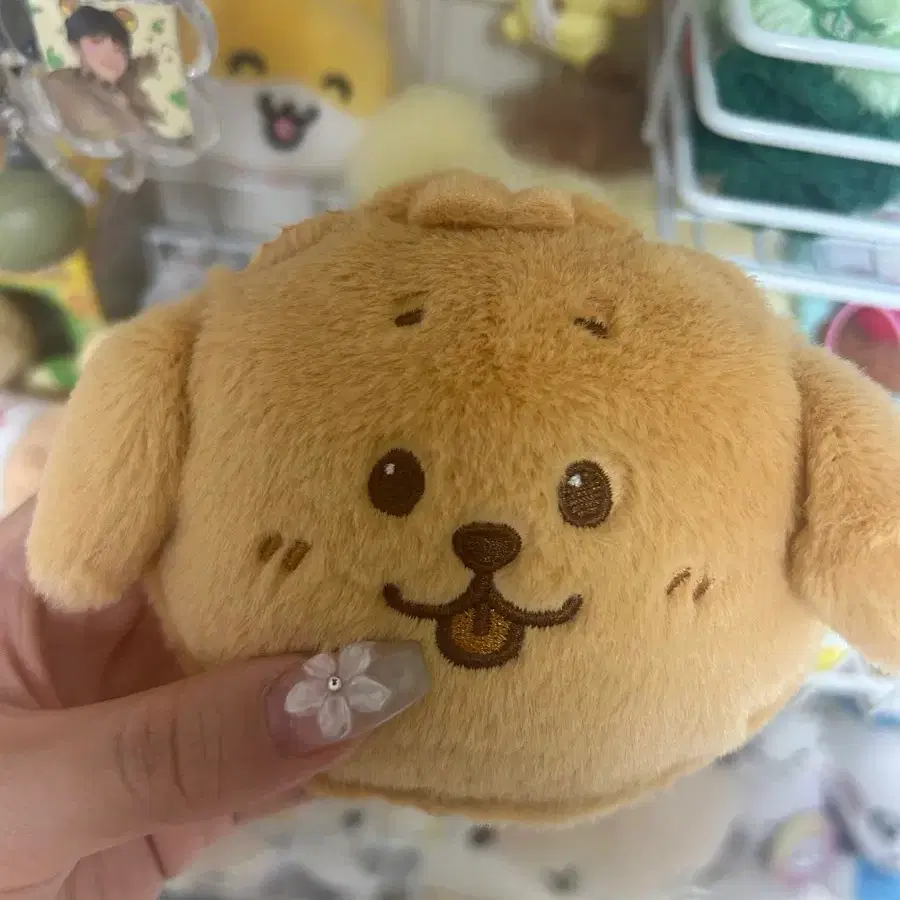 엔시티위시 베이커리 재희 댕트리버