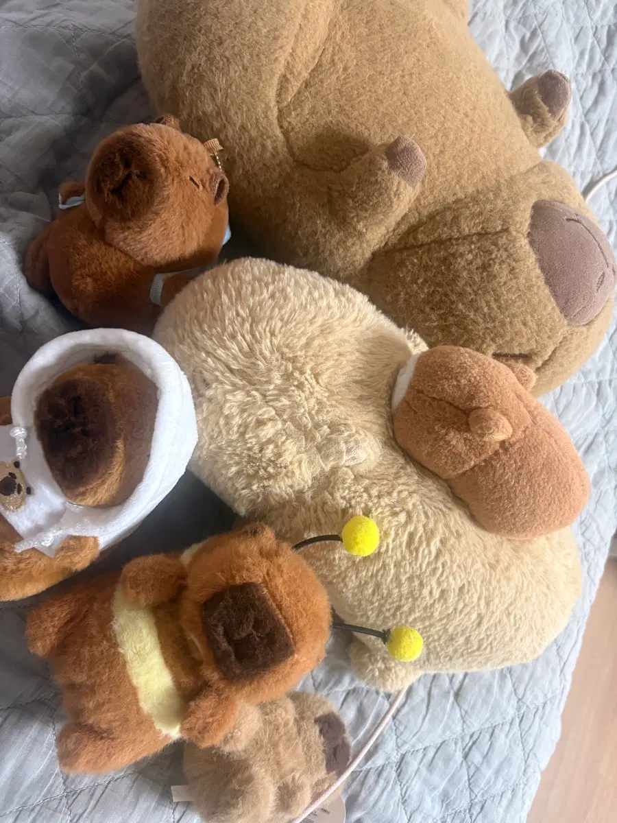 카피바라 인형, 키링