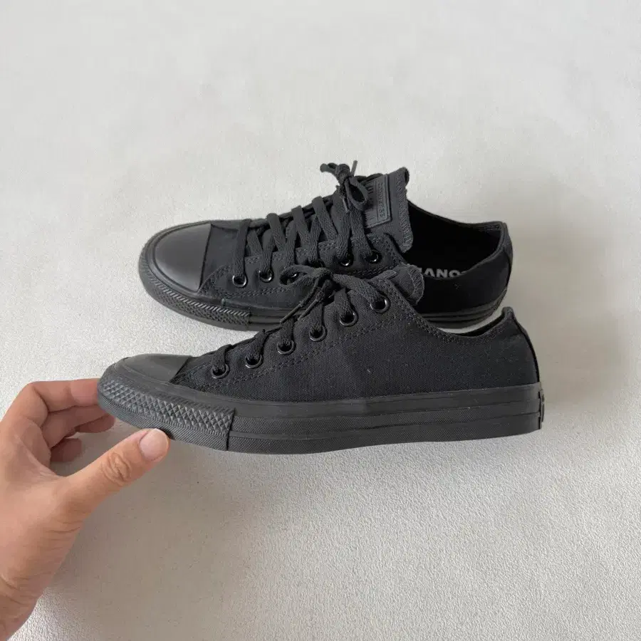 [250]컨버스(Converse) 척테일러 하이