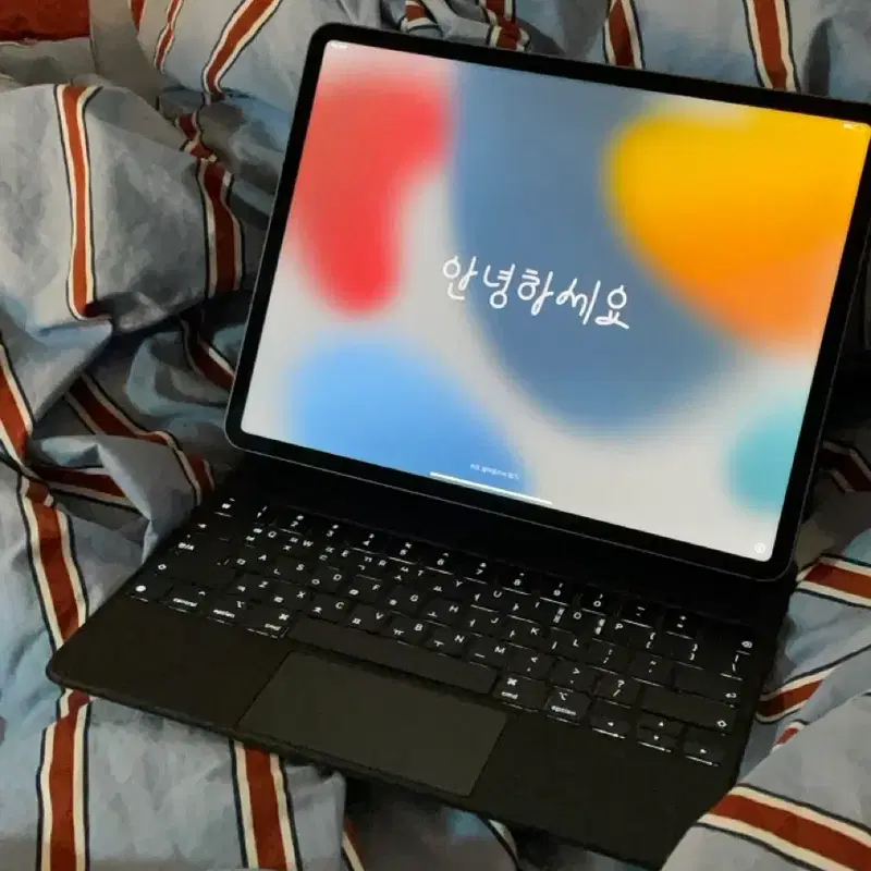 아이패드 프로 12.9인치 5세대 M1 2TB 셀룰러 스페이스 그레이 판매합니다.