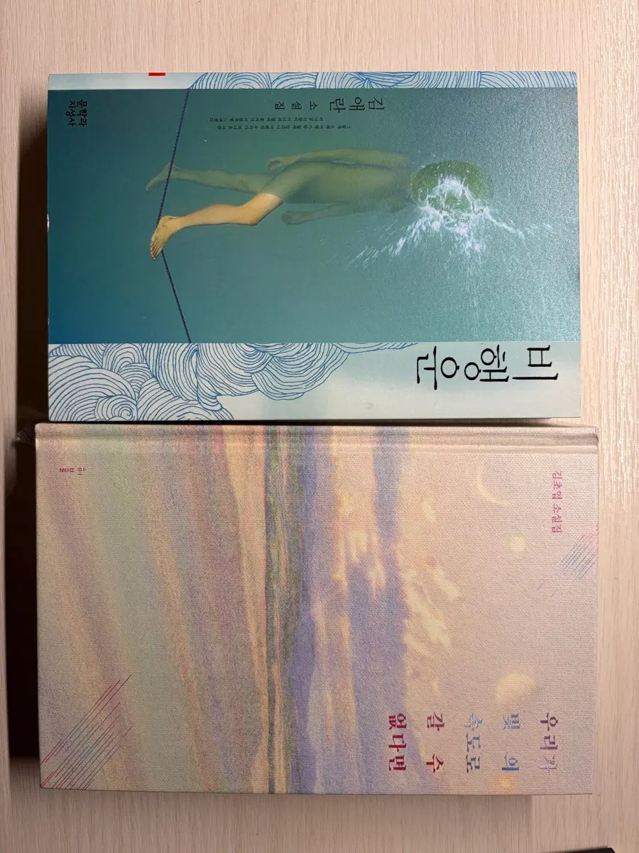 우리가 빛의 속도로 갈 수 없다면 비행운