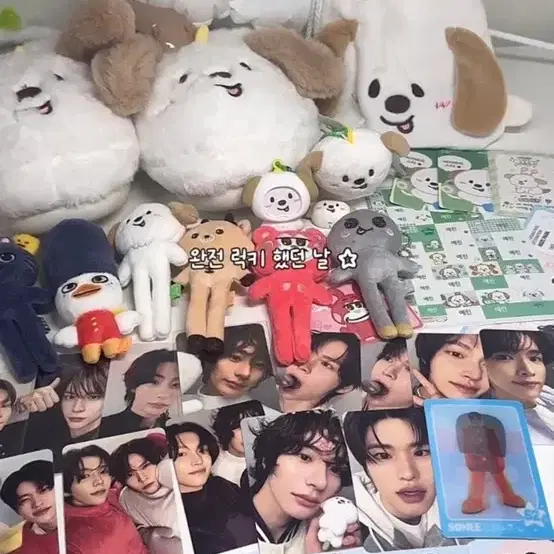 라이즈 포토카드