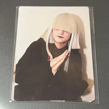 진천지개벽집단 지그재그 산리오 카페 포토 카드