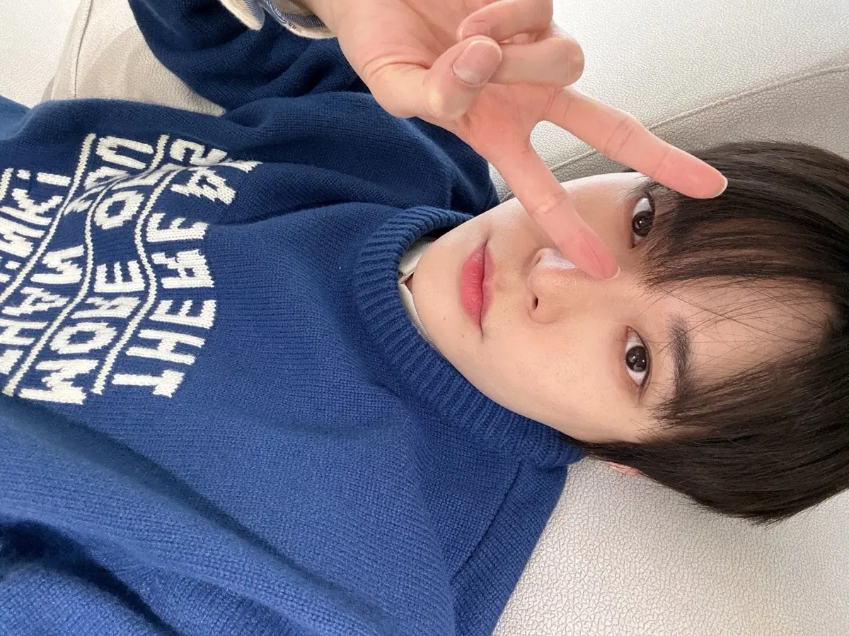 충견주의보 구합니다ㅠㅠ