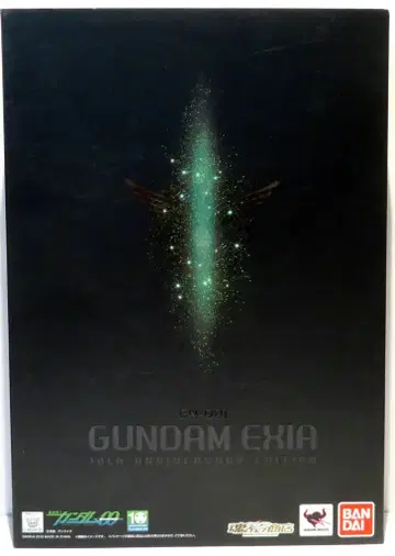 반다이 METAL BUILD 건담 엑시아 10th ANNIVERSARY EDITION