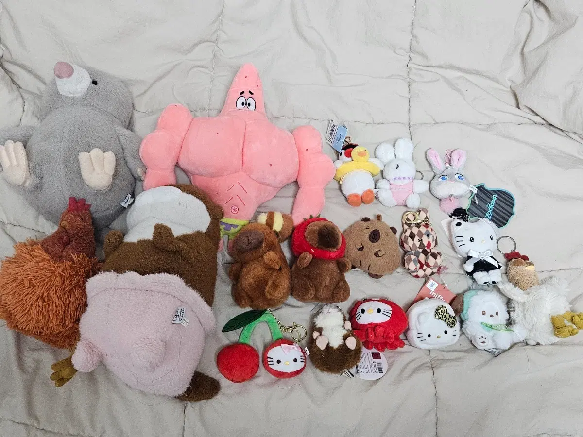 (급처)인형과 키링들 팔아요