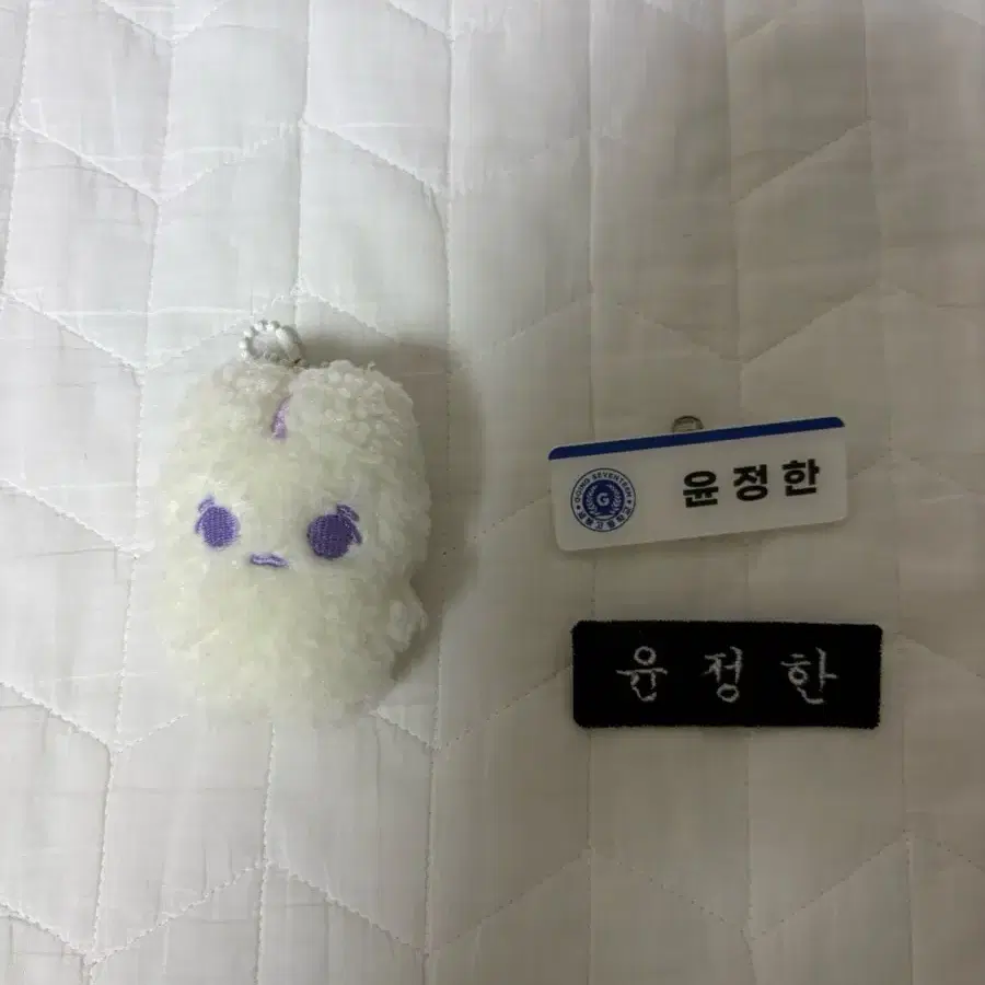 걱쫑이 8cm & 윤정한 이름표