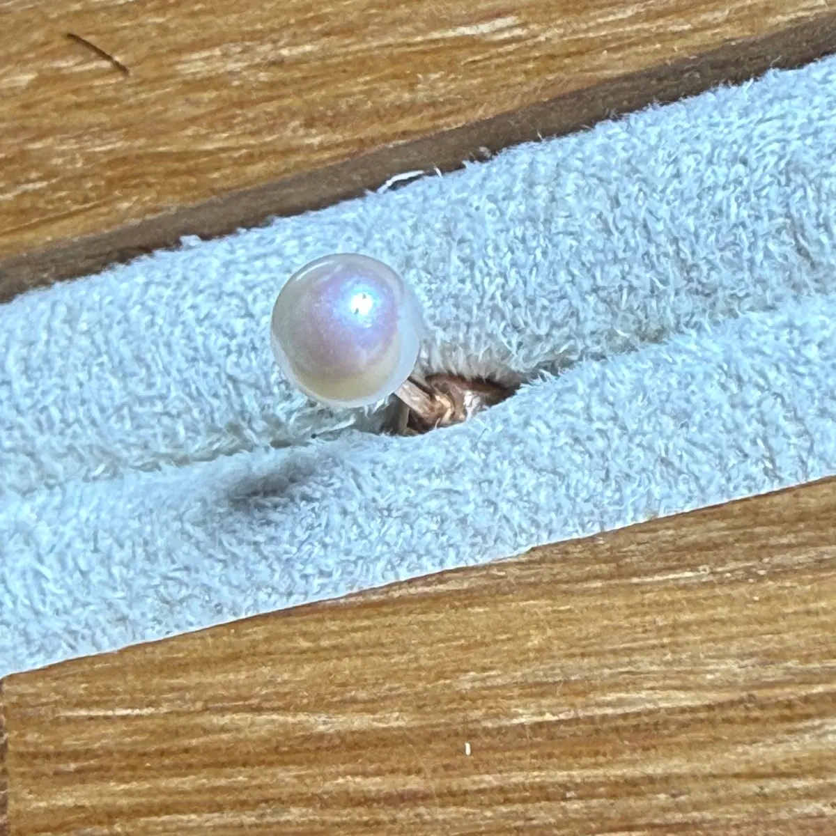 14K 로즈골드 4mm 아코야진주 피어싱