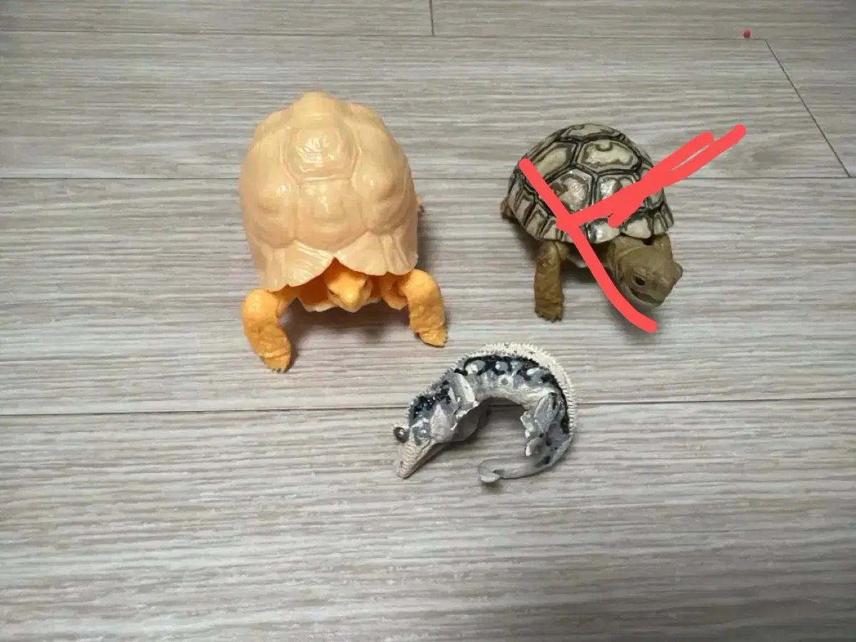 실제같은 파충류 피규어