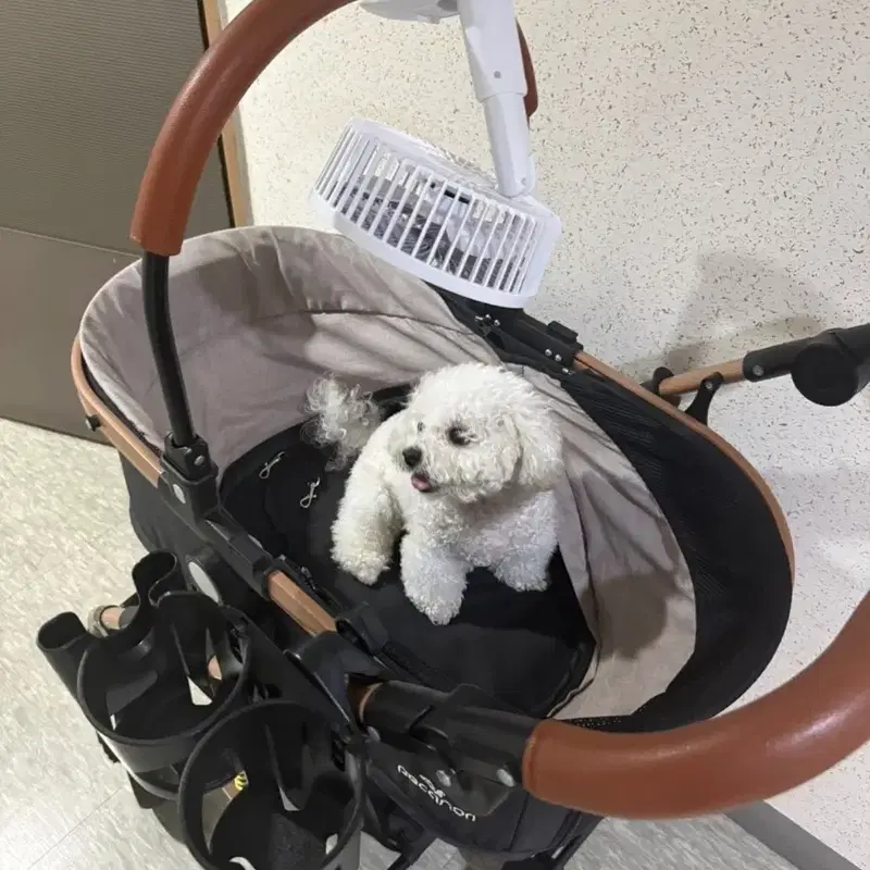 피카노리 강아지 유모차