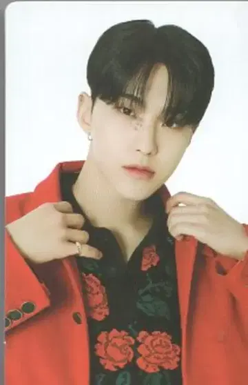 SEVENTEEN 2023 FOLLOW to SEOUL HOSHI 트레이딩 카드 25