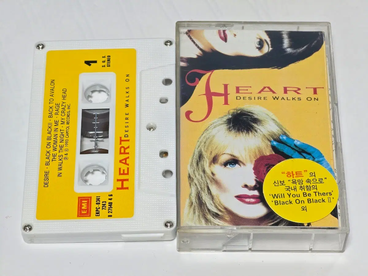 하트 (Heart) - Desire Walks On (1993년 국내 정발반)