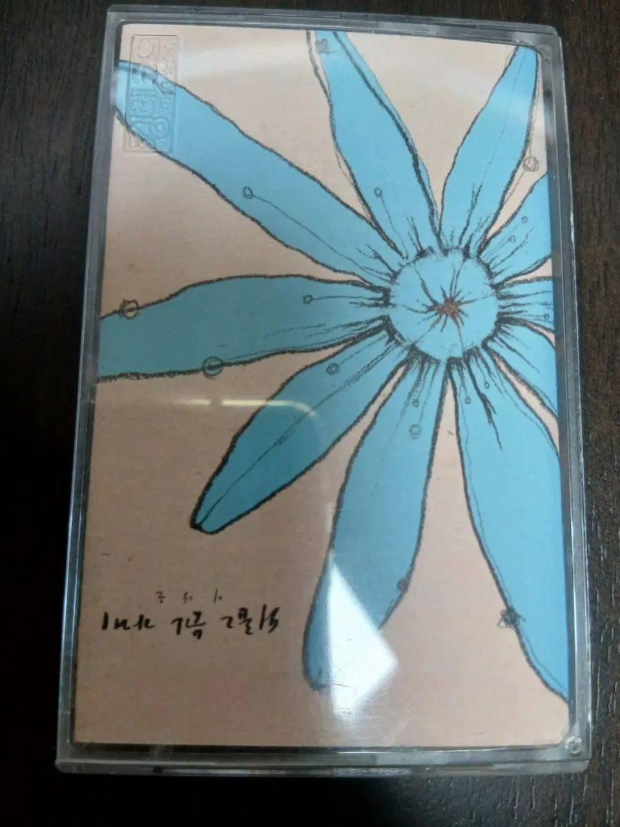 이상은 카세트테이프