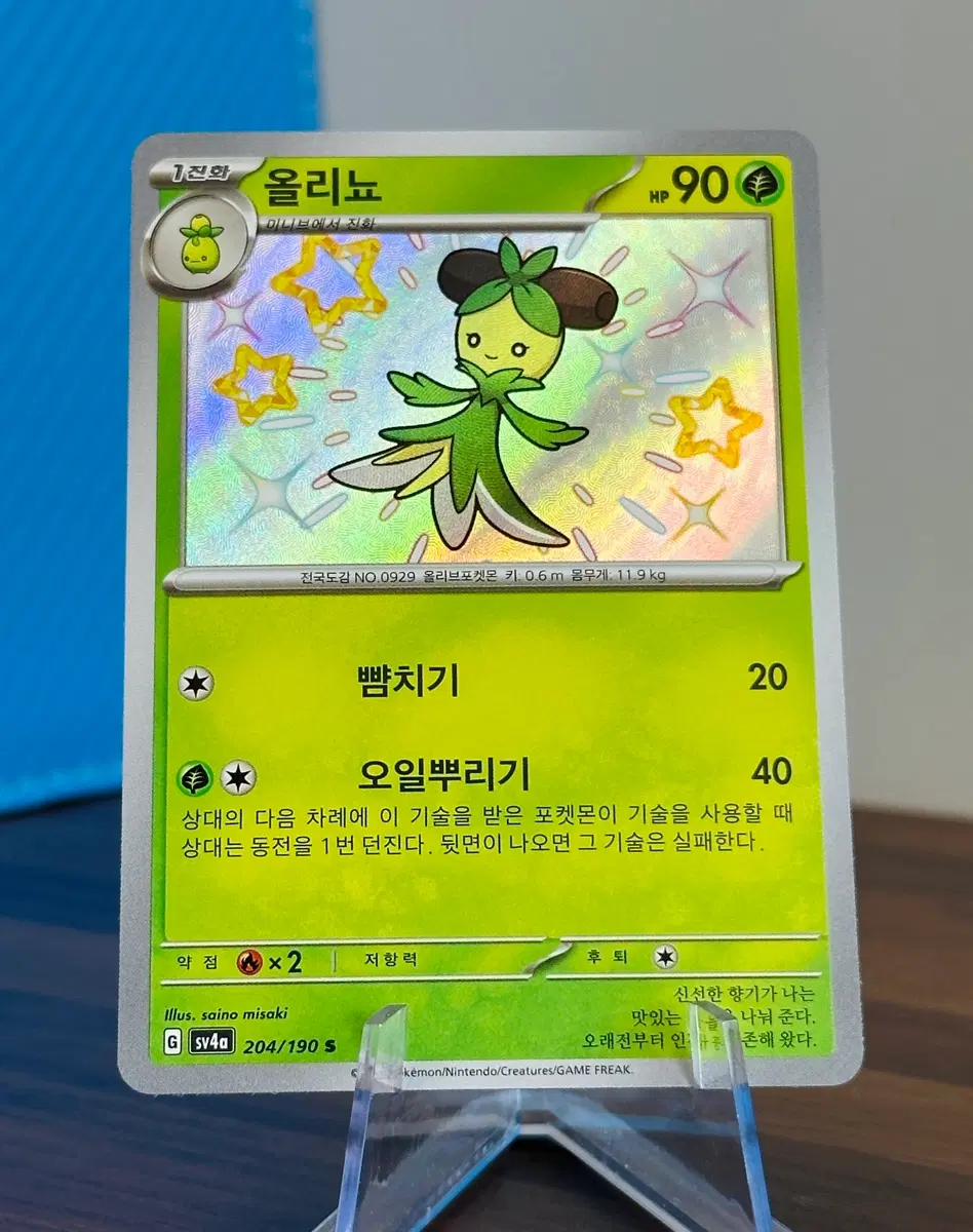 포켓몬 카드 올리뇨 이로치 S