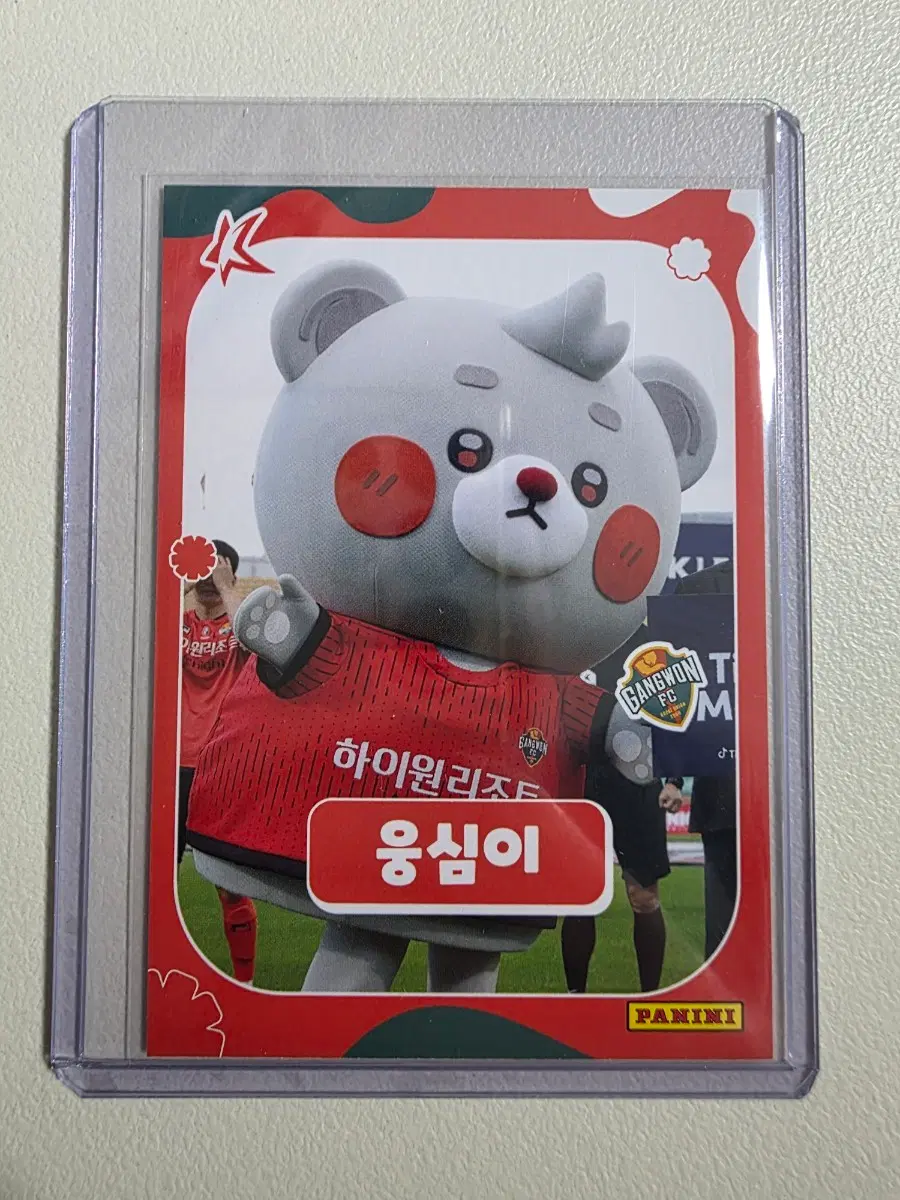 2026 k리그 파니니 강원fc 마스코트 웅심이 카드 판매