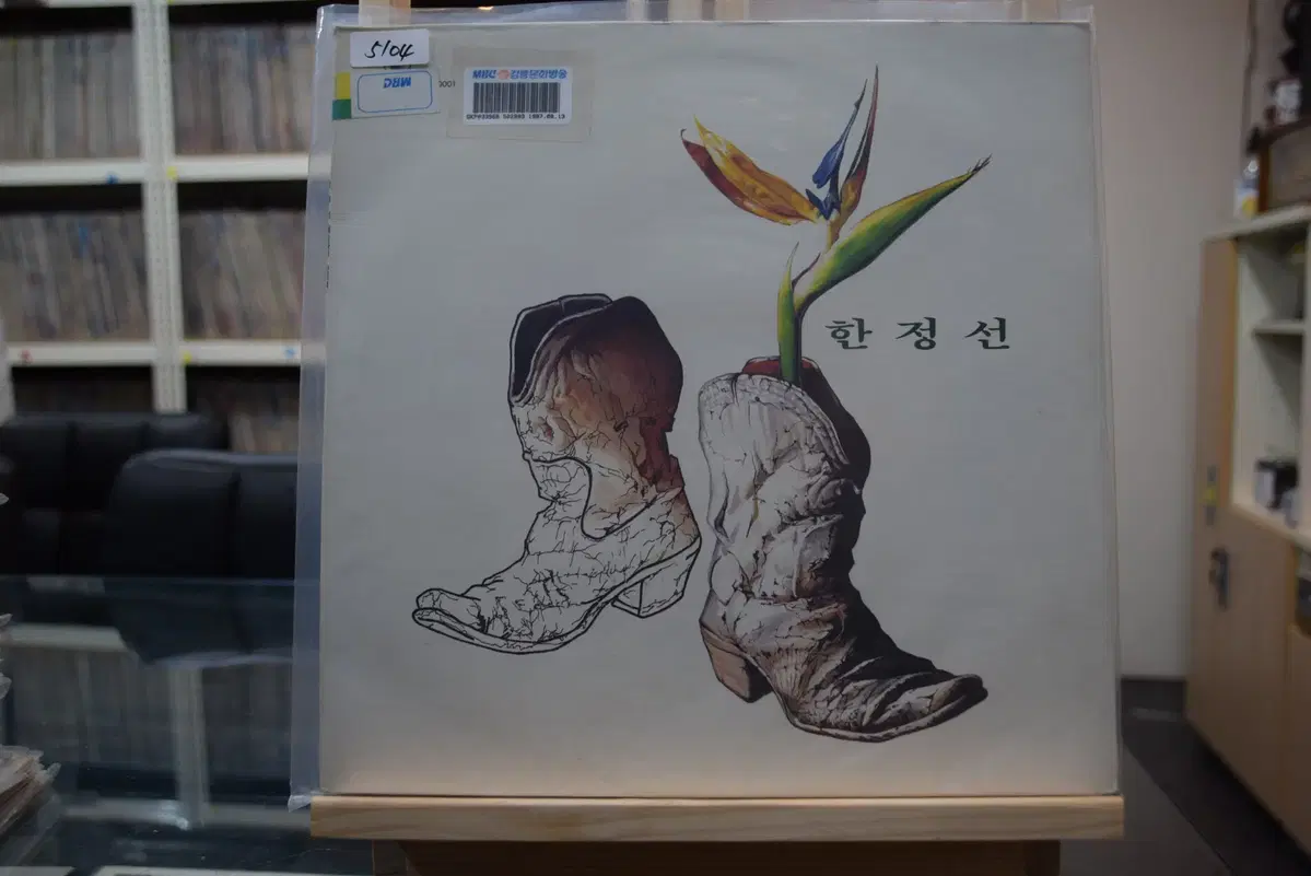 한정선 민트 : 해바라기