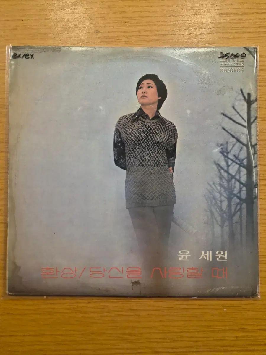 윤세원 lp