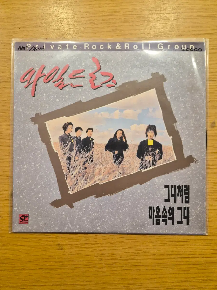 와일드 로즈 lp
