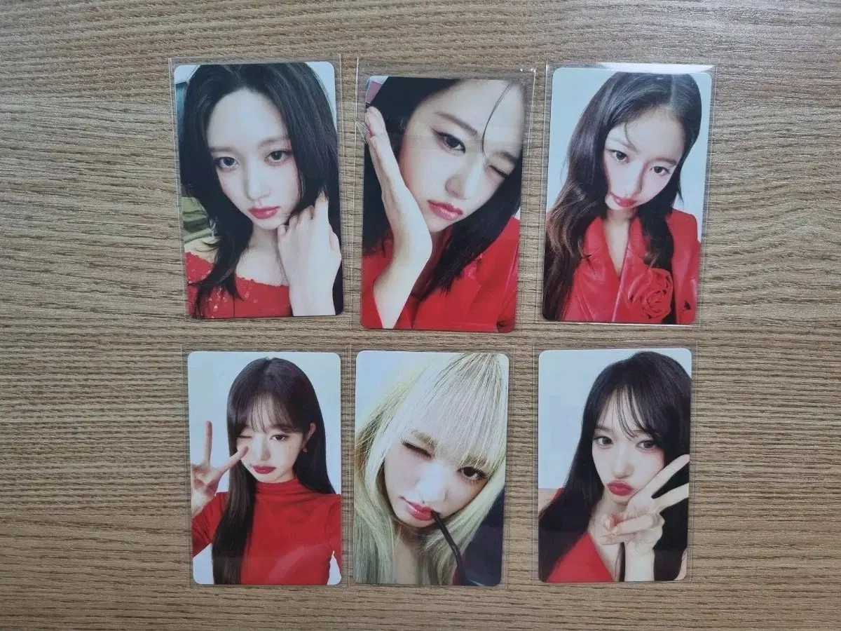 아이브 파파존스포카 일괄판매