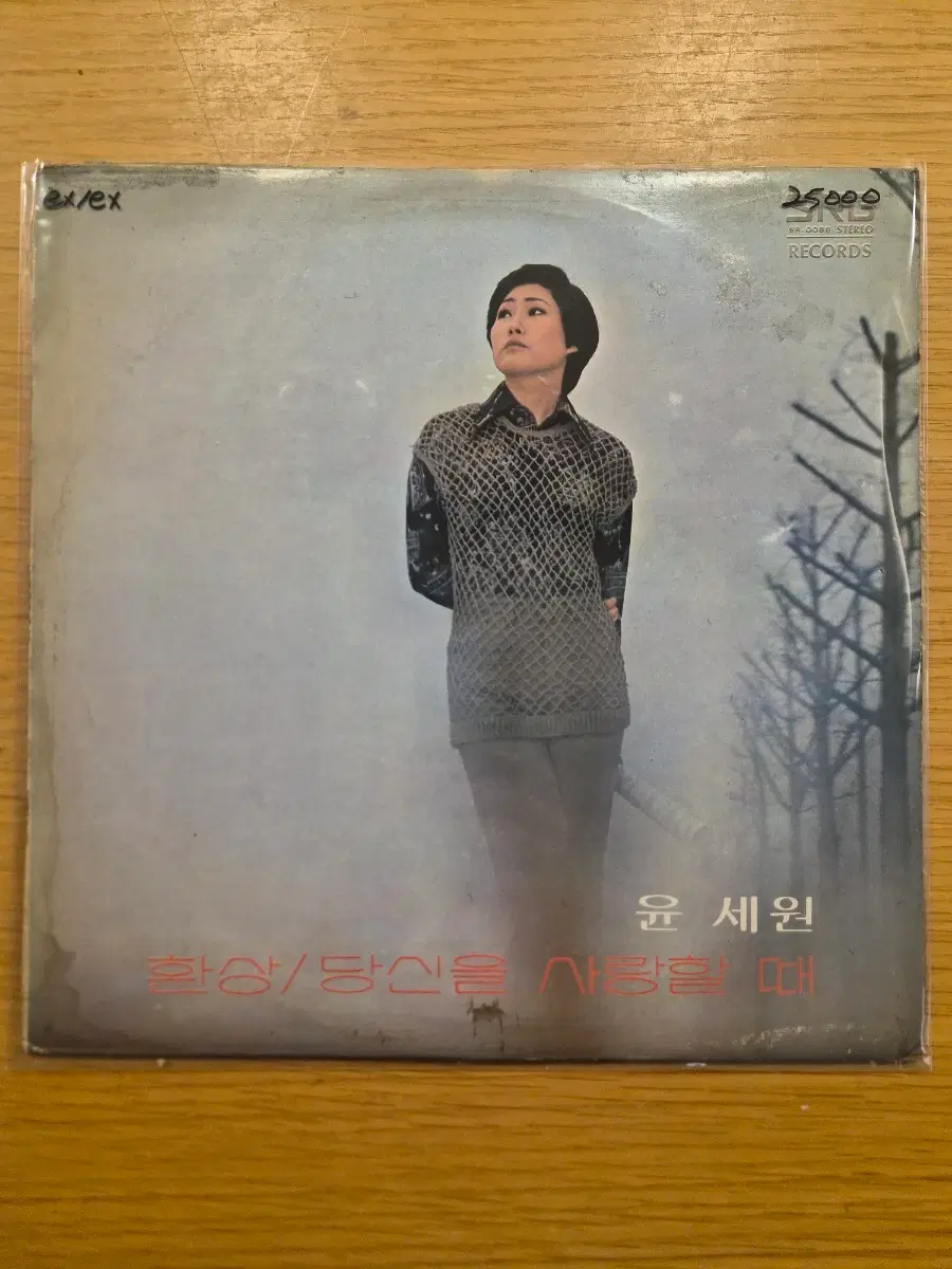 윤세원 lp