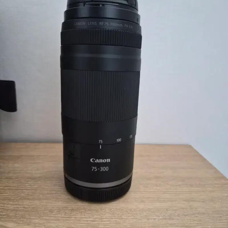 캐논 RF 75-300mm 망원 렌즈