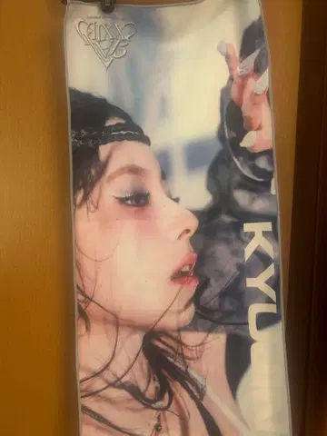 NMIXX 규진 타월
