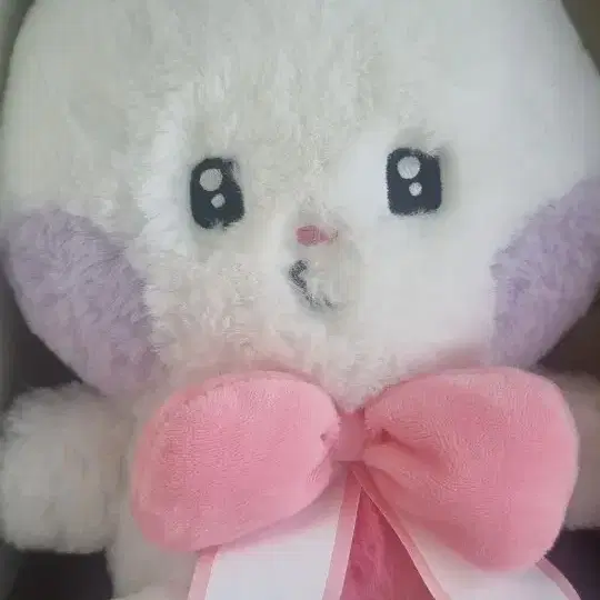 앤더블 한유진 제로니 홈파티 유니니 리본유니니 양도