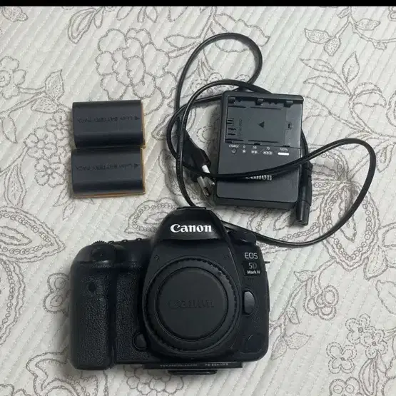 캐논 EOS 5D Mark IV 카메라 일괄