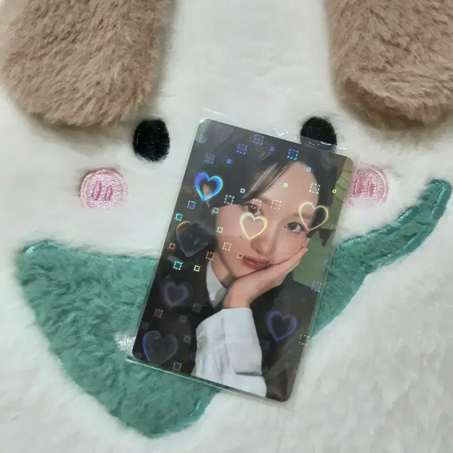 아이브 SCOUT 가을 포카
