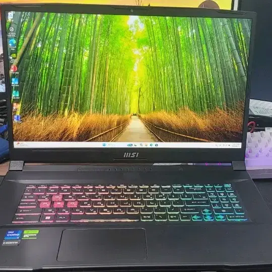 MSI Katana 17 B12VEK 게이밍 노트북