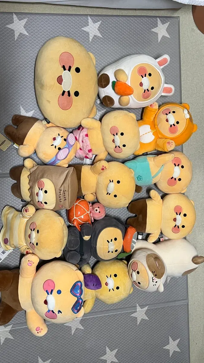춘식이 일괄 14종팝니다 낱개5000원
