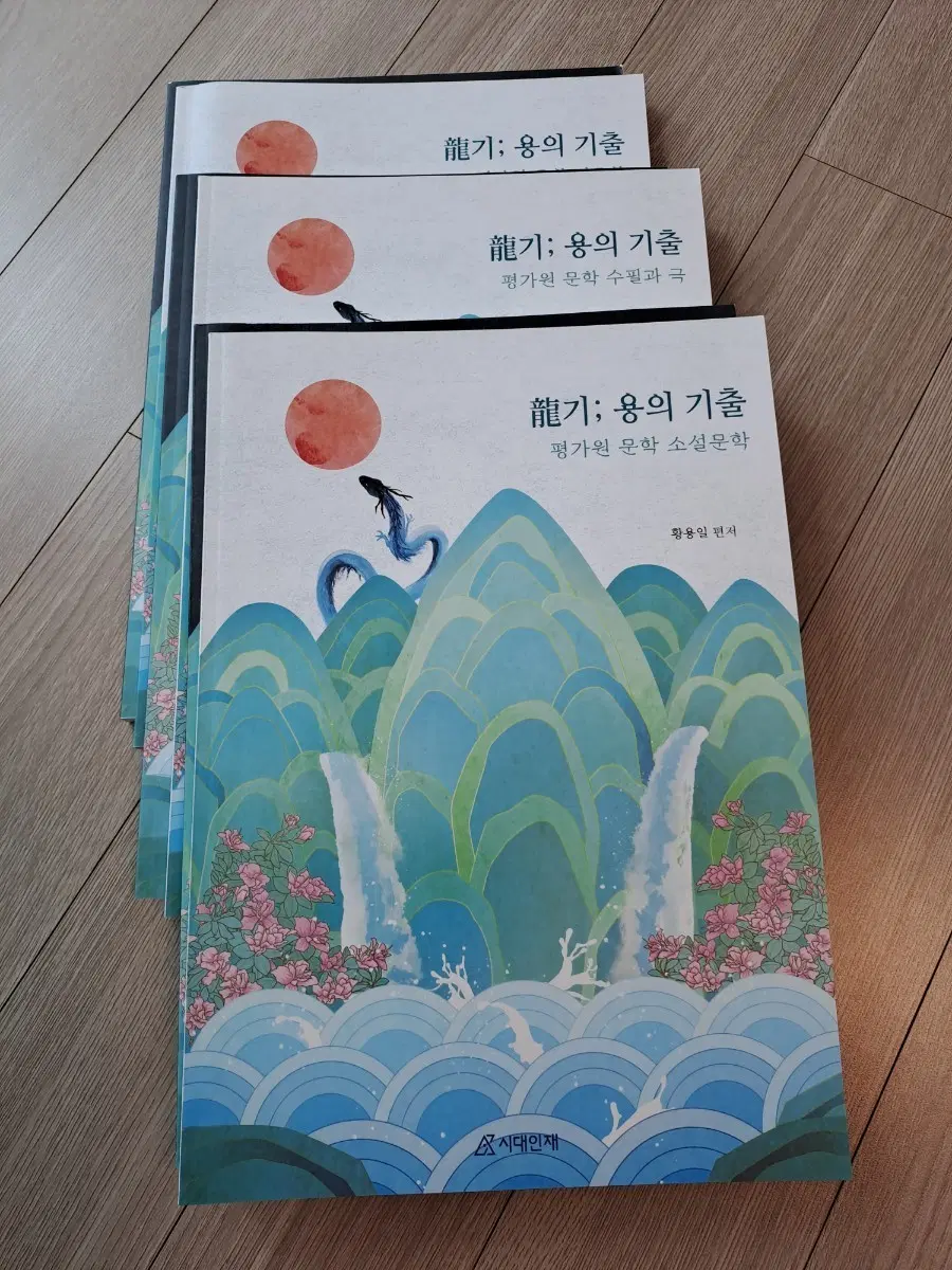 시대인재 국어 홍용일 용의 기출 평가원
