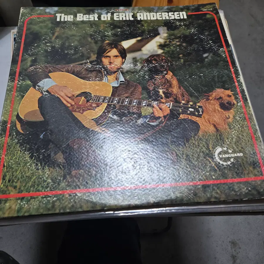 에릭 앤더슨 LP Eric Andersen - The Best Of Eric Andersen LP 2DISK