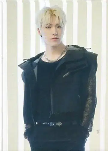 세븐틴 2023 FOLLOW to JAPAN 디노 트레이딩 카드 65