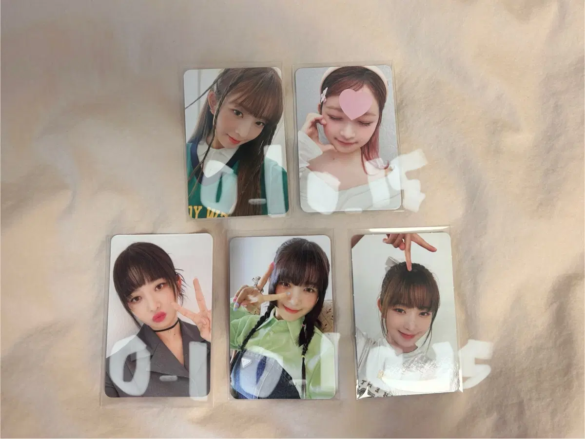 아이브 레이 포카
