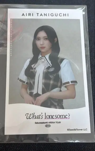 사쿠라자카46 타니구치 아이리 이온카드 미니 포토What's lonesome?